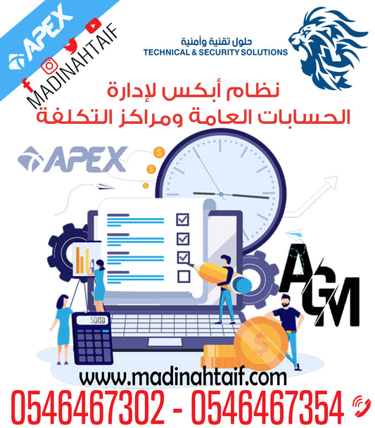 Apex program for general accounts and cost centers